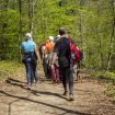 Wanderung: Auszeit für mich