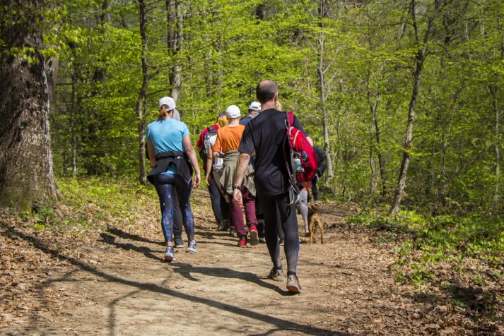 Bild für den Artikel: Wanderung: Auszeit für mich!