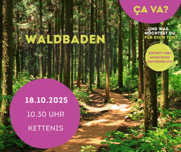 Bild für den Artikel: Waldbaden – AUSGEBUCHT!